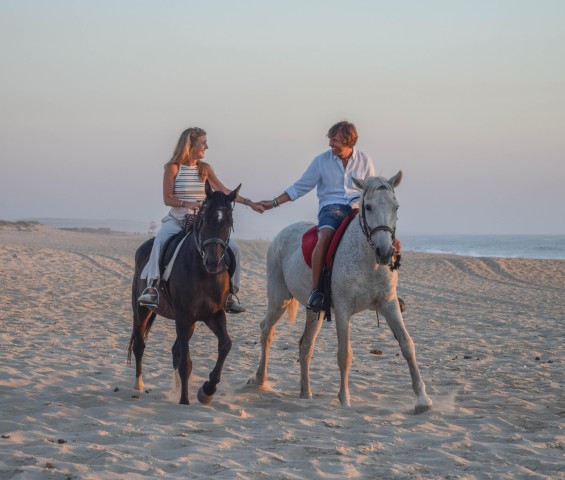 Visit From Lisbon Horseback Riding on Comporta Beach in Lisbon