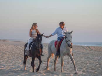 Desde Lisboa: Paseos a Caballo en la Playa de Comporta