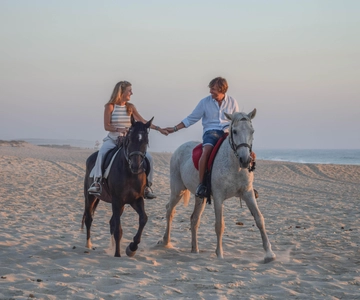 From Lisbon: Horseback Riding on Comporta Beach