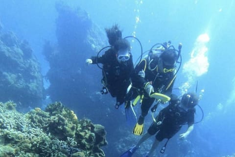 Cancun: Open water diver course in Cancun - isla Mujeres