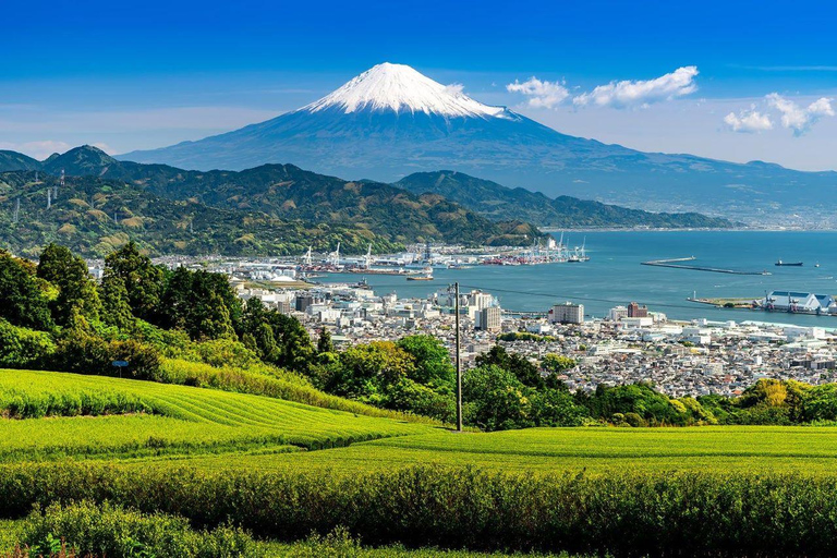 Berg Fuji und Hakone Ganztagestour private Tour