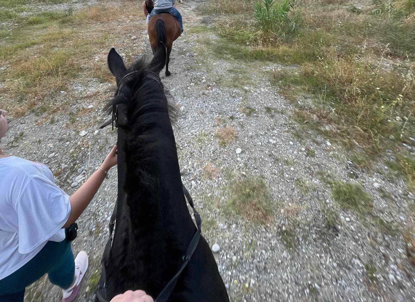 Rhodos: Ridetur på hesteryg med digitale fotos