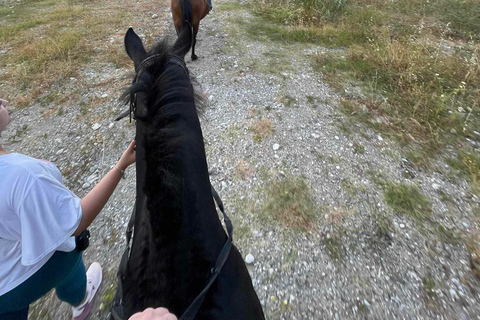 Rhodes : Randonnée à cheval avec photos numériquesRandonnée équestre matinale à la campagne