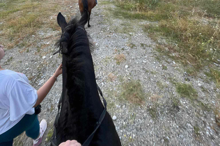 Rhodes: Passeio a cavalo com fotos digitaisPasseio a cavalo pela manhã no campo