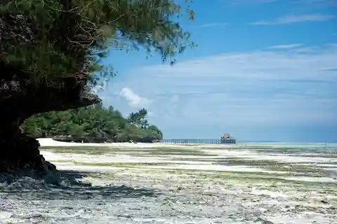 Zanzibar - Tour della città di pietra e della spiaggia di Nakupenda