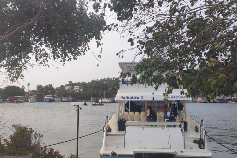 Mirissa: tour in barca con osservazione balene al tramonto e musica