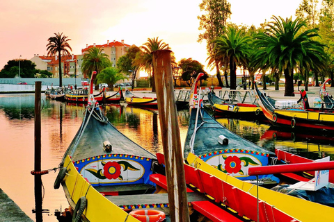 Porto do Lizbony z Aveiro-Coimbra-Fátima-Nazaré-Óbidos1 STOP