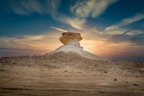 Doha: West Coast Qatar Tour, Sculptures, Camel Racing track