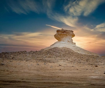 Doha: West Coast Qatar Tour, Sculptures, Camel Racing track