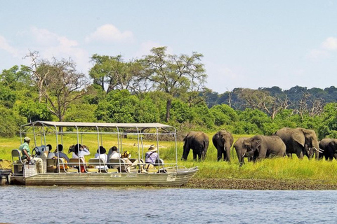 Victoria Falls: Chobe National Park Day Trip with Lunch