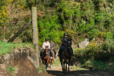 Rotorua: Experiencia guiada de senderismo a caballo