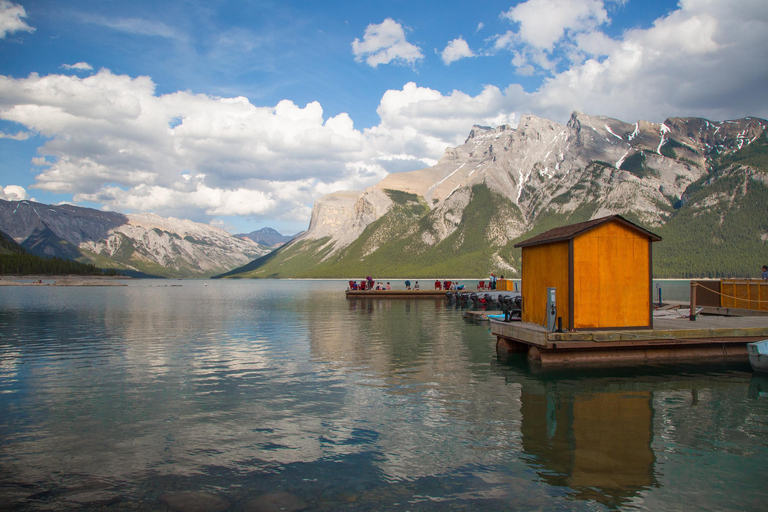 Banff: Grizzly Bear & Nature Walk & Hidden Gem Sunset Tour
