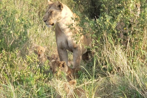 3-tägige Mikumi-Nationalpark-Sansibar-Safari mit Flügen