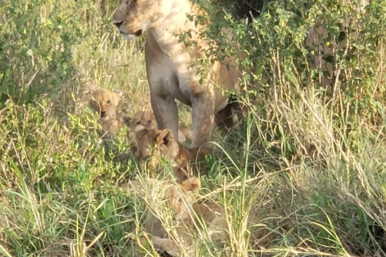 3-tägige Mikumi-Nationalpark-Sansibar-Safari mit Flügen
