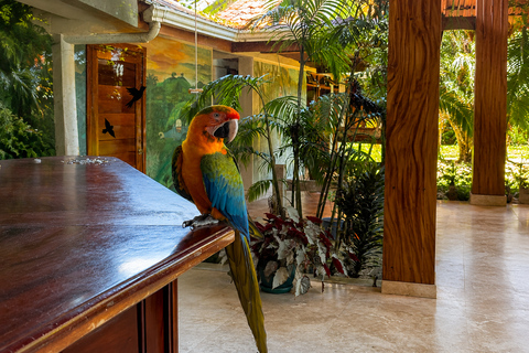 From San José: Monteverde Cloud Forest Day Trip