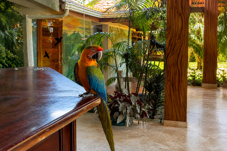 From San José: Monteverde Cloud Forest Day Trip