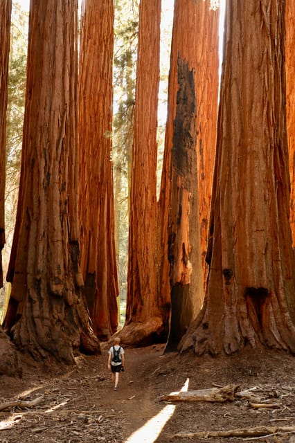 San Francisco: 2-Day Tour to Los Angeles with Parks image 3