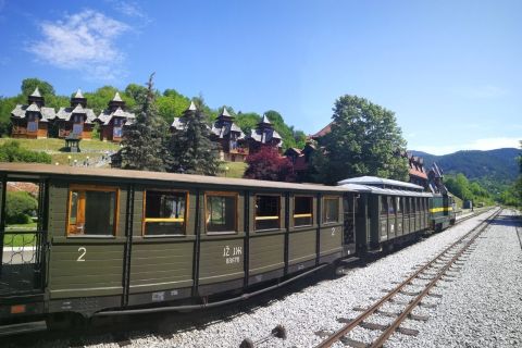 Da Belgrado: treno Mokra Gora Sargan 8, Mecavnik e Zlatibor