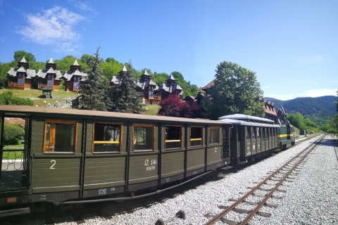 Vanuit Belgrado: trein Mokra Gora Sargan 8, Mecavnik en Zlatibor