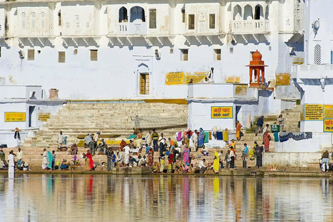 Delhi: 8 Days Golden Triangle with Udaipur or Pushkar Tour Tour with 5-Star Hotel Accommodation