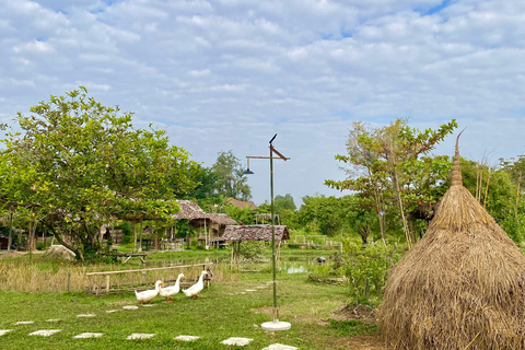 Chiang Mai : Buffles thaïlandais et plantation de riz