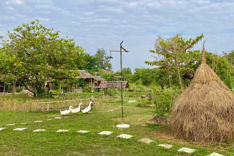 Chiang Mai: Thai Buffalo and Rice Planting Experience