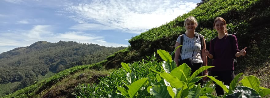 Randonnée privée à Munnar