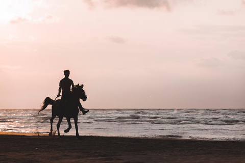 Punta Cana: Swim & Ride Horse on Caribbean Beach & Transport
