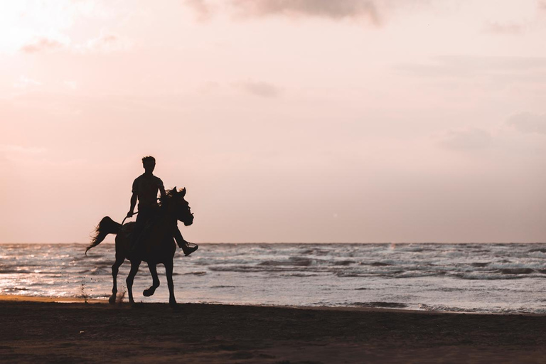 Punta Cana: Swim & Ride Horse on Caribbean Beach & Transport