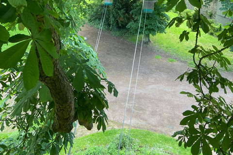 AccroCamp Chartres Tree Climbing Park Entry Ticket
