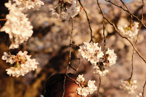 Kanazawa: Guided Walking Tour with Photoshoot