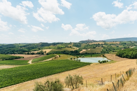 Depuis Florence : excursion Toscane et déjeuner au vignobleExcursion en groupe avec déjeuner et vins, billet Tour Pise