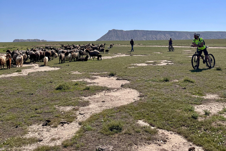 Baku: tour in mountain bike a Gobustan - vulcano di fango TogayayBaku: Tour in mountain bike sul Gobustan - Vulcano di fango di Togayay