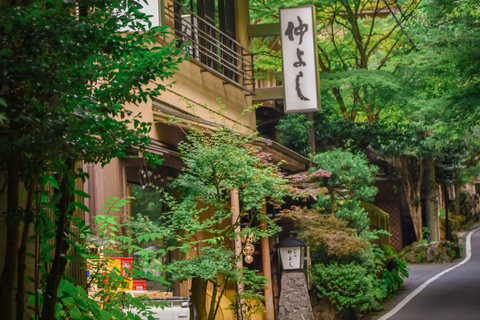 Quioto e Nara: tour privado de um dia em veículo com guia