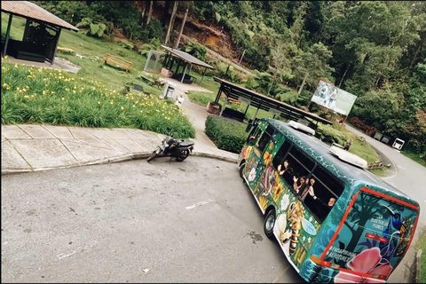 Medellín: Excursion to Arví and Finca de Flores - Hike, Snack & Lunch