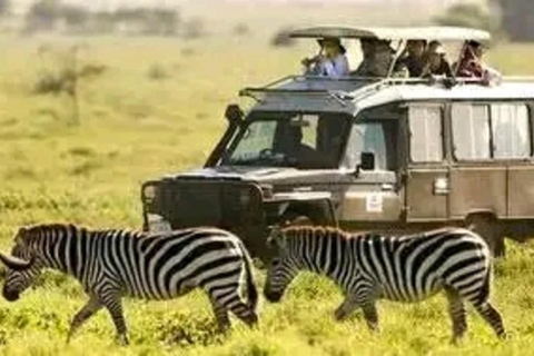 Kenya: Adventure, and Cultural Tours with Transfers