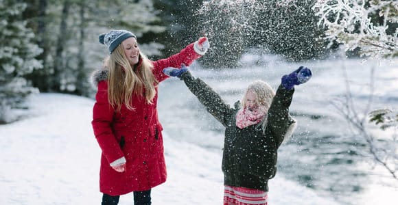 Banff: Winter Evening Wildlife Viewing Tour