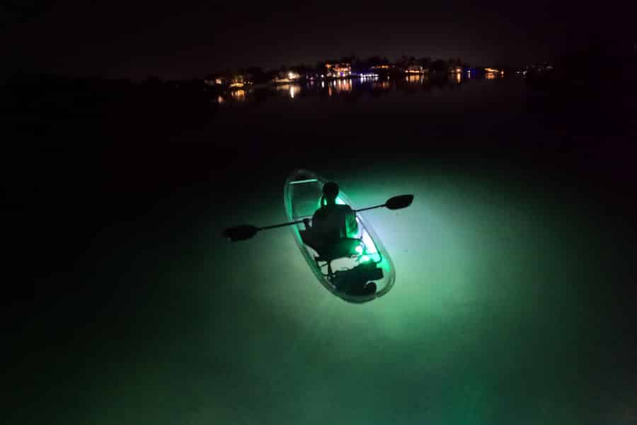 Longboat Key: nächtliche Tour im durchsichtigen Kajak mit LED-Beleuchtung, Sarasota. Foto: GetYourGuide