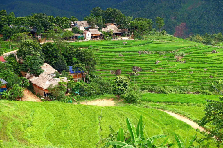 Hanoi: 3-Day Pu Luong, Ninh Binh Excursion & Guide, Homestay