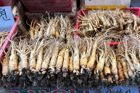 Seul: passeio histórico e gastronómico por Suwon com chá e sobremesa reais