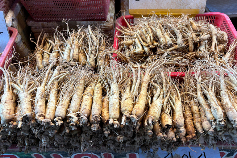 Seul: passeio histórico e gastronómico por Suwon com chá e sobremesa reais