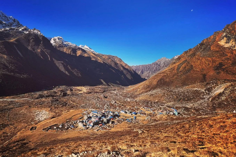 Pokhara: Langtang Glacier Trail and Kyanjin Monastery Trek