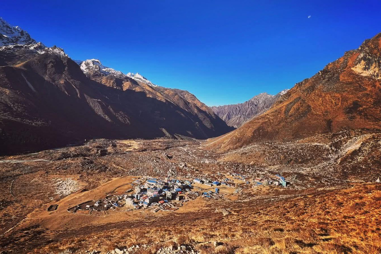 Pokhara: Langtang Glacier Trail and Kyanjin Monastery Trek