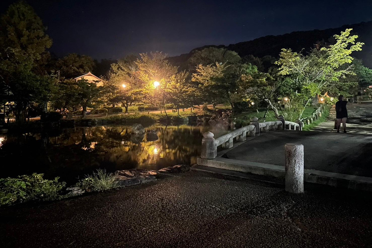 Kyoto: tour a piedi serale a Gion e nel quartiere delle geisheKyoto: tour a piedi serale di Gion e del quartiere delle geishe