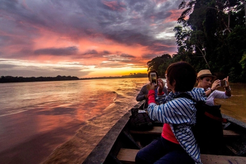 From Tambopata: Amazon Jungle Hike and Lake Sandoval 1-Day Tambopata: Trekking through the jungle and Lake Sandoval