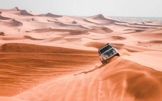 Dubai: Wüstenritt, Kamelreiten, Sandboard & Buffet Dinner