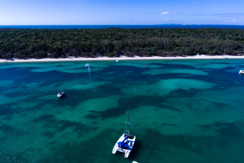 Brisbane: Excursão de meio dia à vela em Moreton Bay com Antipasto