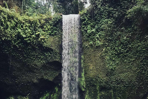 Ubud : Private Tour Waterfalls & Temple With Rice Terrace Private Tour With Spesial Group ( Exluded Entry Ticket )