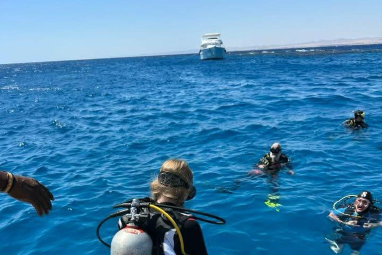 Marsa Alam: excursión de buceo y snorkel con traslados y aperitivosMarsa Alam: excursión de buceo y snorkel con traslados y aperitivos incluidos