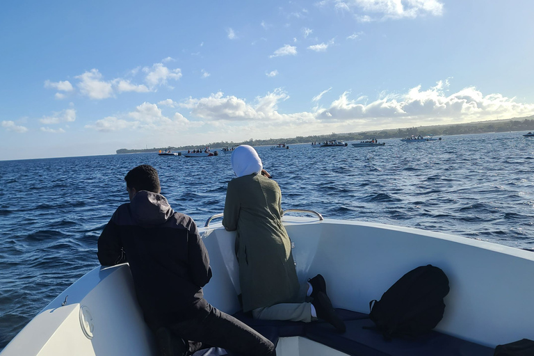 Dauphins, baleines, plongée en apnée et déjeuner sur l'île des Bénitiers